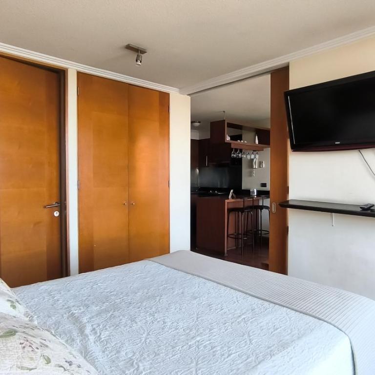 Depto Manuel Montt Providencia - One-Bedroom Family Apartment - 3