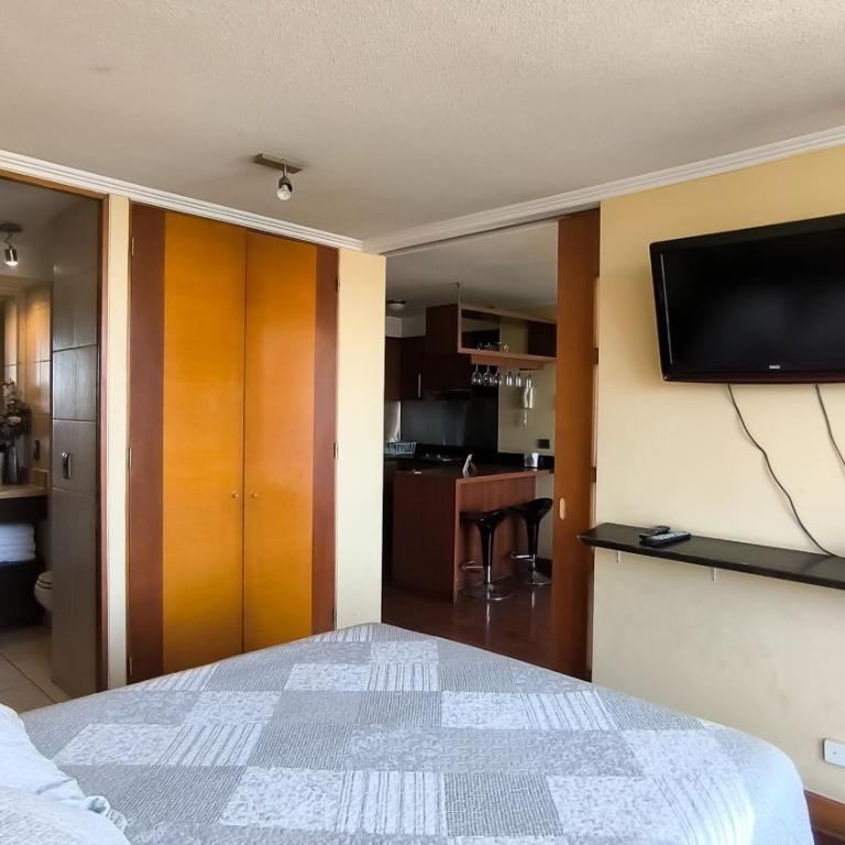 Depto Manuel Montt Providencia - One-Bedroom Family Apartment - 13