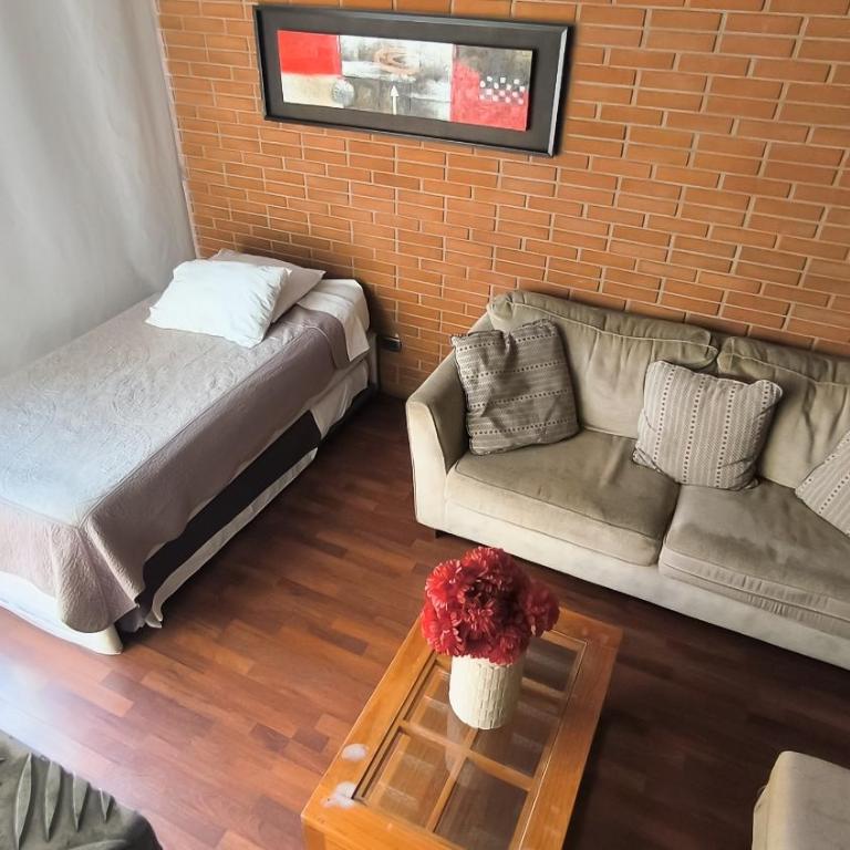 Depto Manuel Montt Providencia - Loft - 12