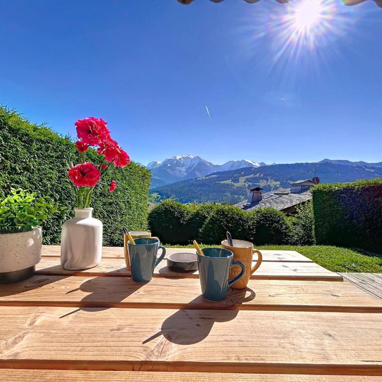 Appartement 2 pièces avec coin montagne, parking, vue Mont Blanc - Appartement 1 Chambre - 2