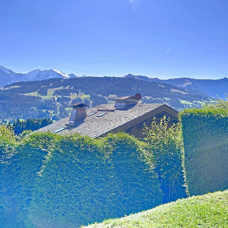 Appartement 2 pièces avec coin montagne, parking, vue Mont Blanc - Appartement 1 Chambre - 9
