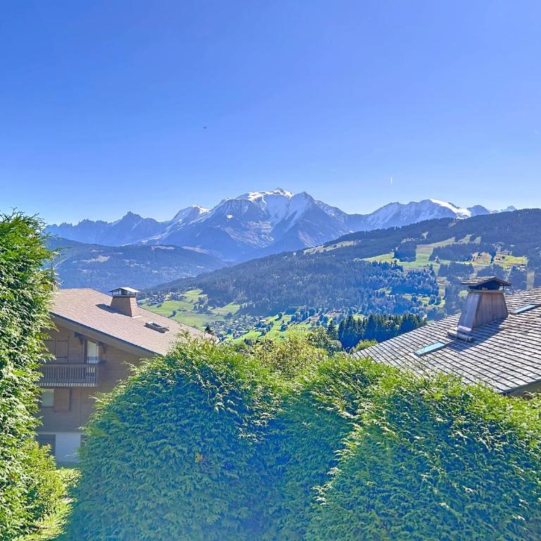 Appartement 2 pièces avec coin montagne, parking, vue Mont Blanc - Appartement 1 Chambre - 11