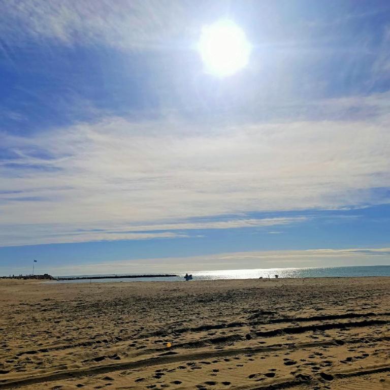 Canet-en-Roussillon Studio Alcôve 4 Pers - Vue Mer - Parking - FR-1-794-171 - Studio - 12