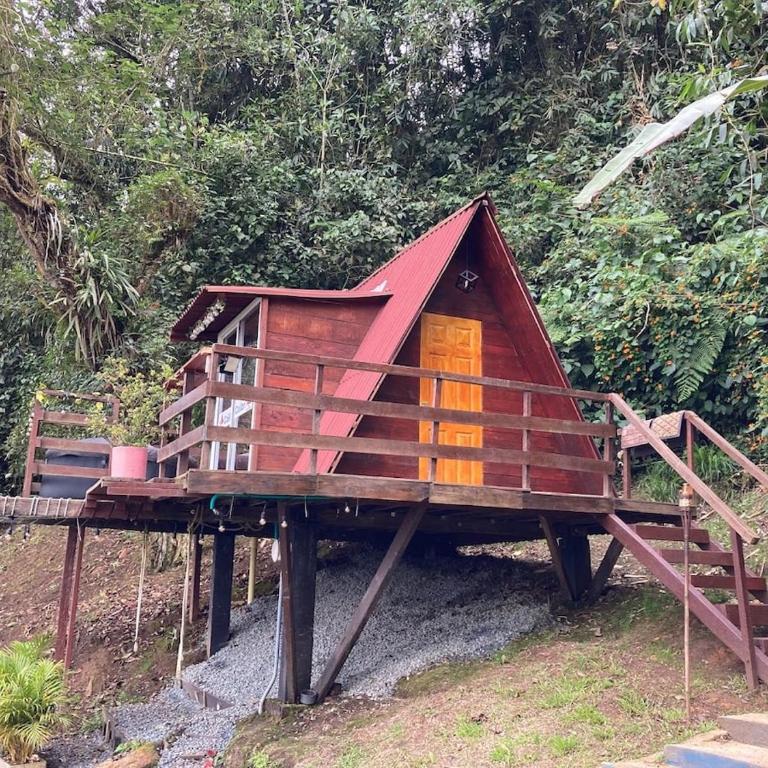 Nido Bag Glamping - Chalet Superior - 10