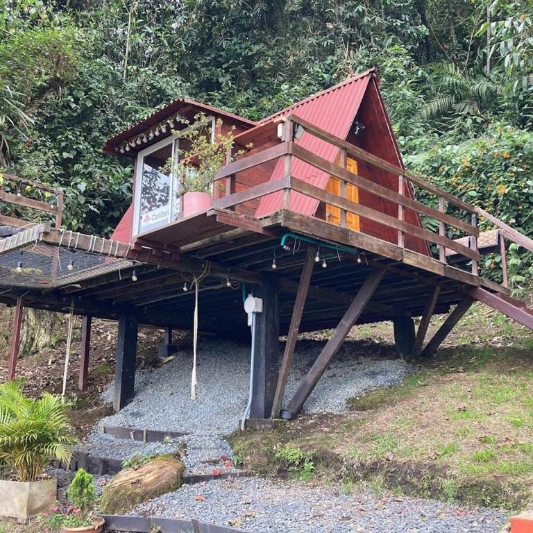 Nido Bag Glamping - Chalet Superior - 2