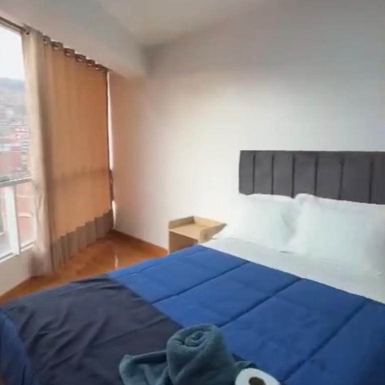 Edificio Alejandrina - Apartment - 5