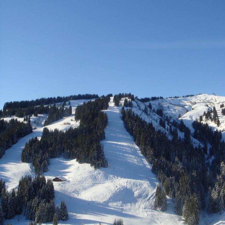 Terrasse du MtBlanc - Appartement avec Vue sur la Montagne - 29