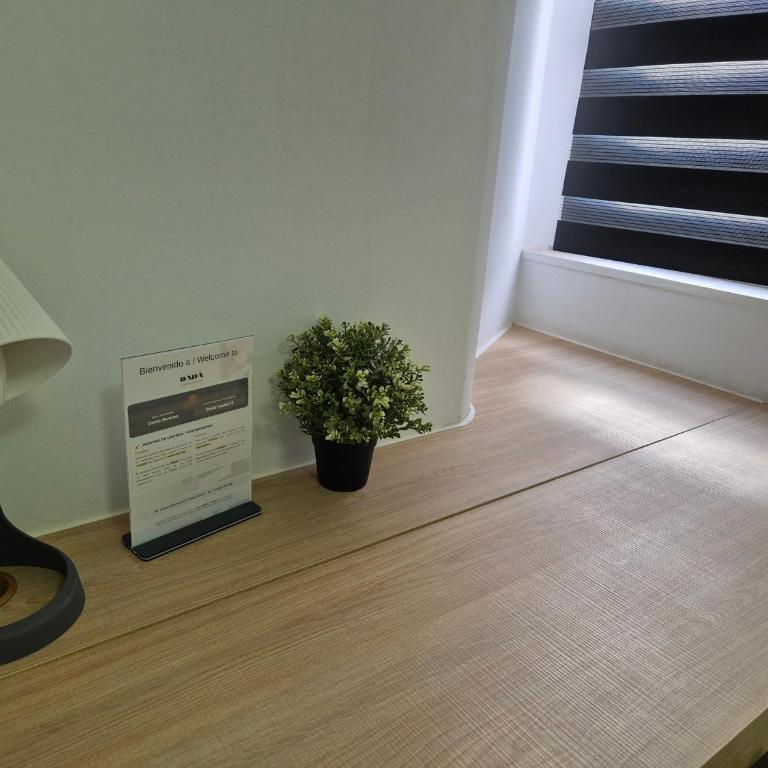 Dadá Coliving & Rooms by Serendipia Turismo - Economy Double Room - 3