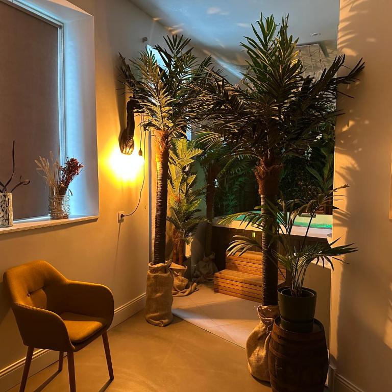 Jungle room, Jacuzzi privatif et cinéma - One-Bedroom Apartment - 3
