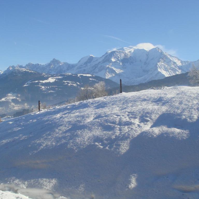 Terrasse du MtBlanc - Appartement avec Vue sur la Montagne - 25