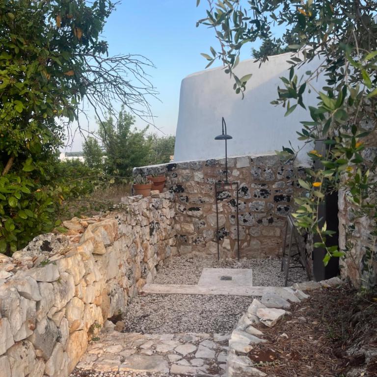 Villa Alberovivo - Casa con 4 camere da letto - 37