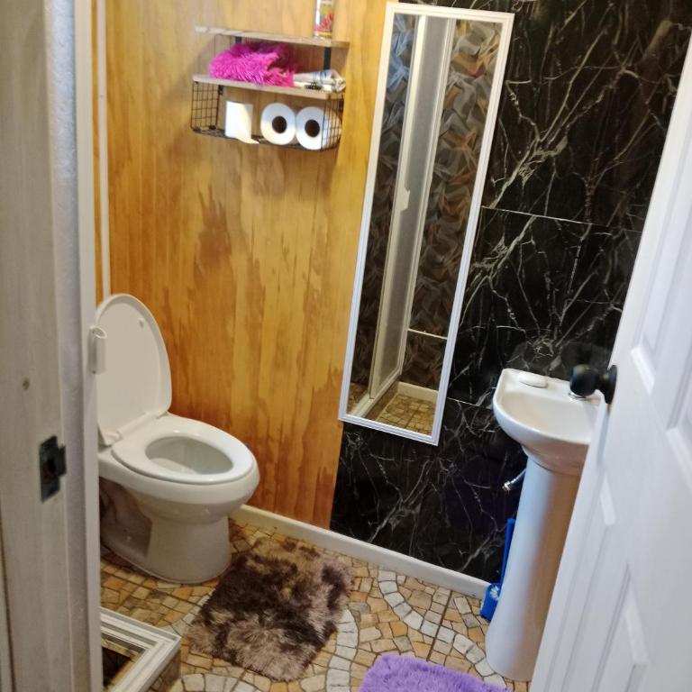 Cabaña El ulmo - One-Bedroom Apartment - 12