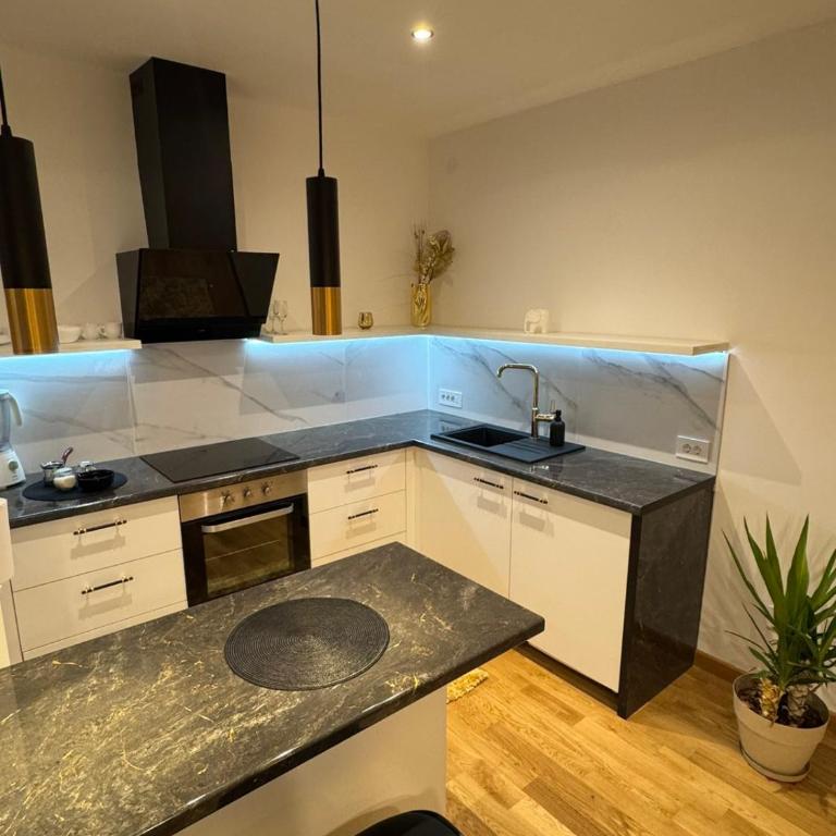 Apartman ROYAL021 NS - One-Bedroom Apartment - 2