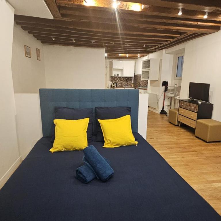 MAGNIFIQUE LOFT ! MODERNE & PARISIEN QUARTIER EMILIE In PARIS ! NOTRE-DAME & PANTHEON ! - Appartement 1 Chambre - 9