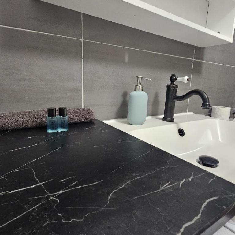 MAGNIFIQUE LOFT ! MODERNE & PARISIEN QUARTIER EMILIE In PARIS ! NOTRE-DAME & PANTHEON ! - Appartement 1 Chambre - 15