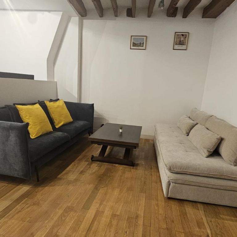 MAGNIFIQUE LOFT ! MODERNE & PARISIEN QUARTIER EMILIE In PARIS ! NOTRE-DAME & PANTHEON ! - Appartement 1 Chambre - 22