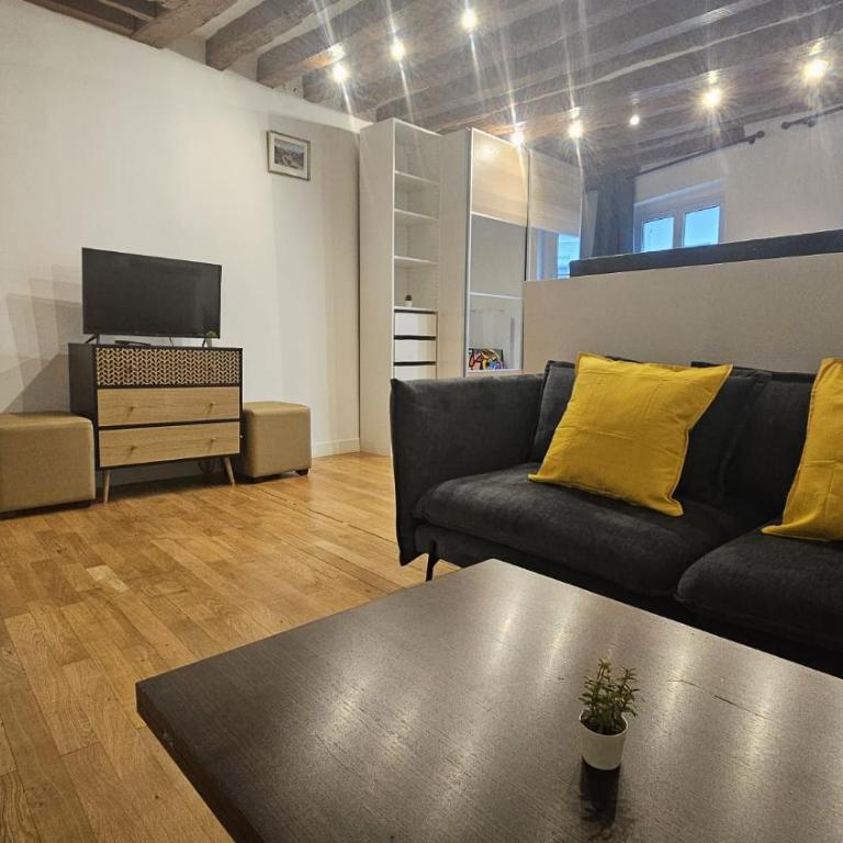 MAGNIFIQUE LOFT ! MODERNE & PARISIEN QUARTIER EMILIE In PARIS ! NOTRE-DAME & PANTHEON ! - Appartement 1 Chambre - 27