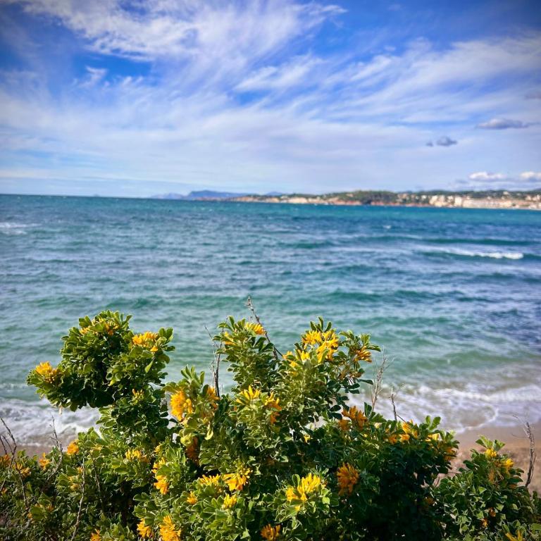 Bel appartement à 2 min de la plage à Six-Fours-les-Plages - Apartment - 28