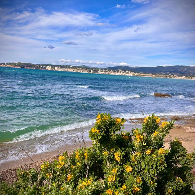 Bel appartement à 2 min de la plage à Six-Fours-les-Plages - Apartment - 36