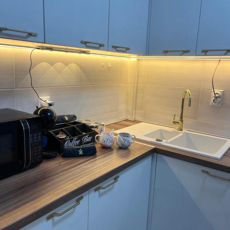 Pantelej gates - One-Bedroom Apartment - 2