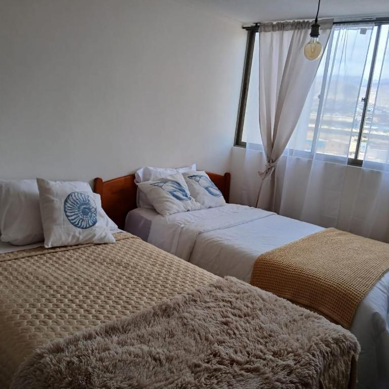 Departamento ejecutivo - One-Bedroom Apartment - 3