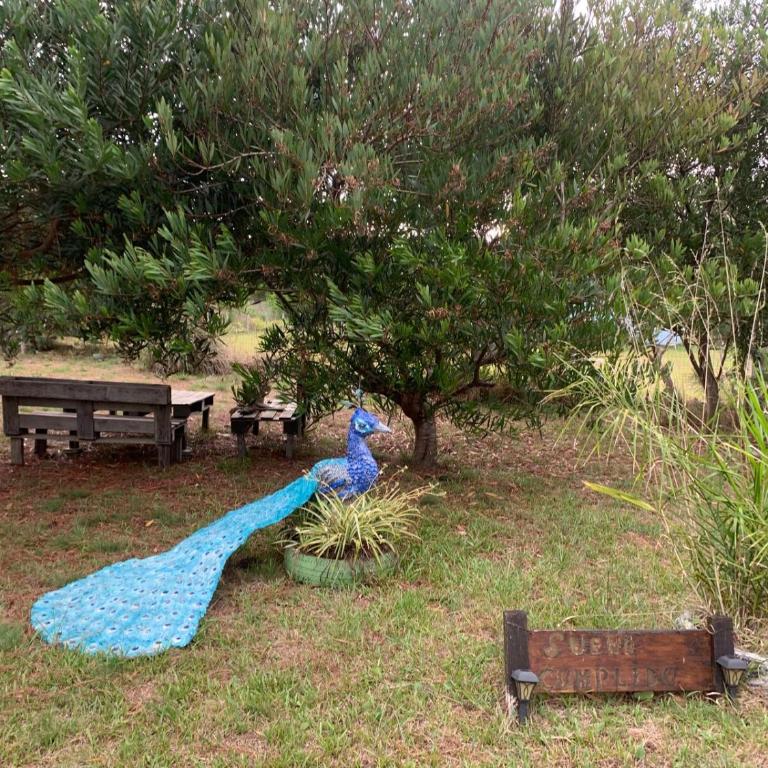 La Casita Verde - Two-Bedroom House - 14