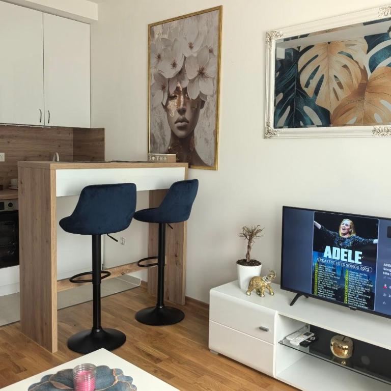 relaxroom Podgorica - Apartman sa 1 Spavaćom Sobom - 1