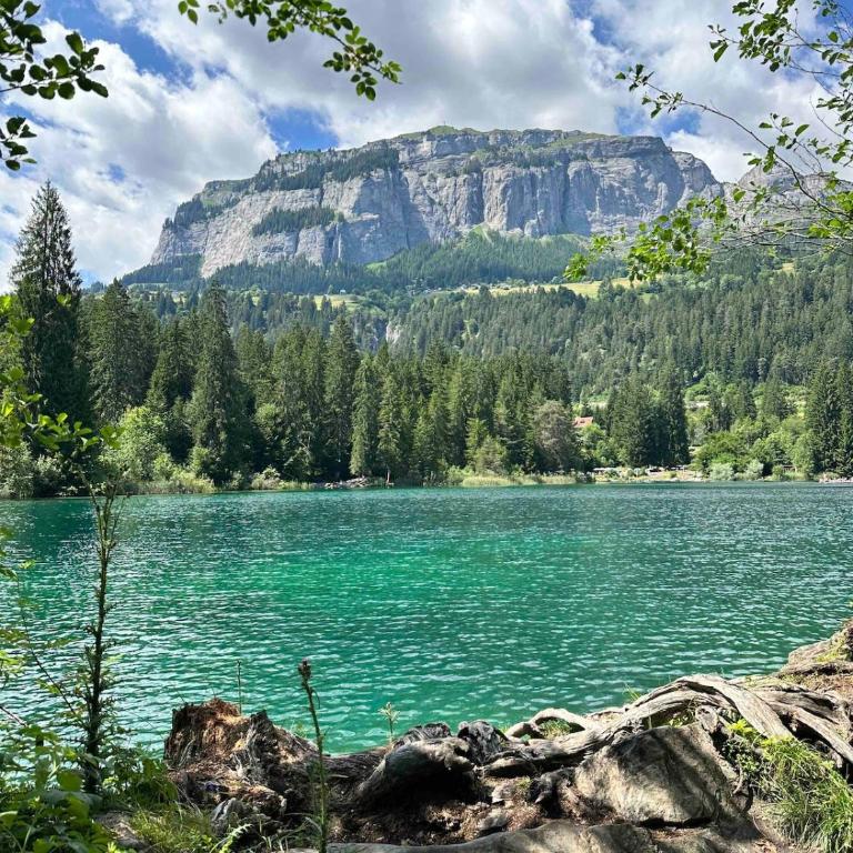 HappyLaax - Elegant Design Studio with Pool, Sauna, and Private Parking - Studio-Apartment mit 1 Doppelbett - 58