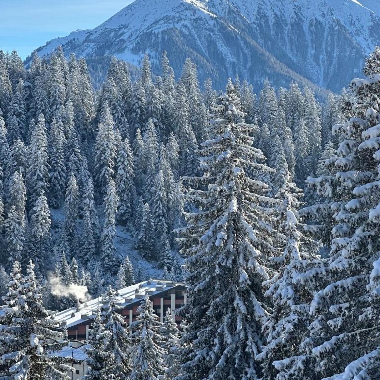 HappyLaax - Elegant Design Studio with Pool, Sauna, and Private Parking - Studio-Apartment mit 1 Doppelbett - 55