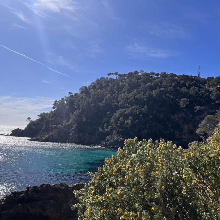 CA170-038 Studio Cabine 4 couchages Cavalaire sur Mer - Apartamento Estudio con vistas al mar - 15