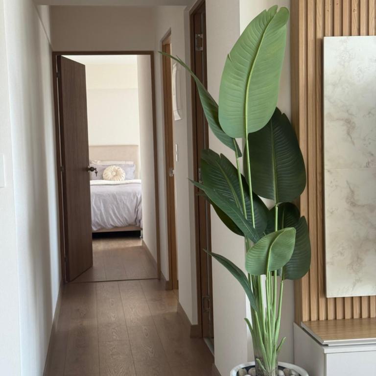 Miraflores Premium - Apartamento de 3 dormitorios - 26