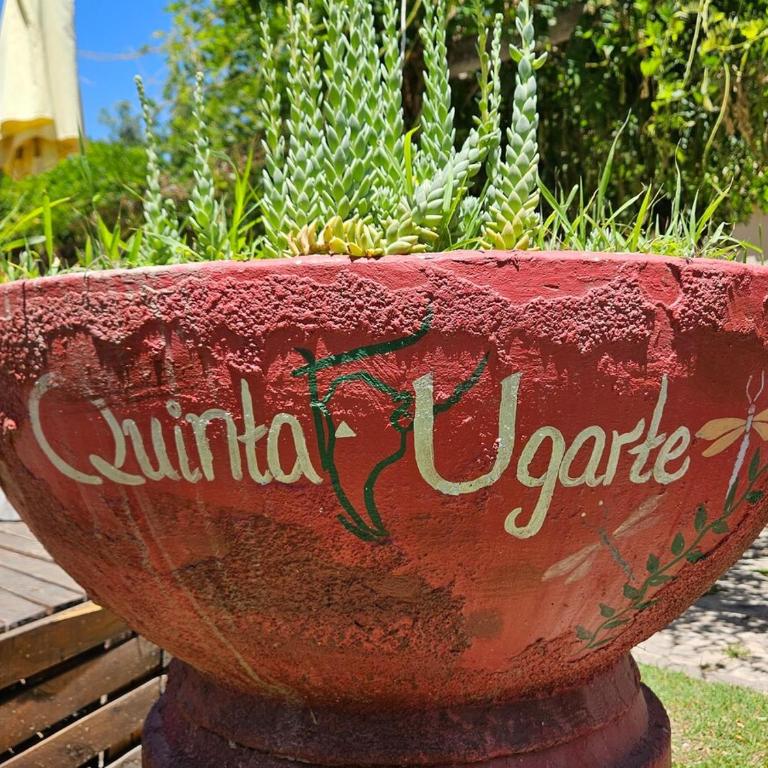Quinta Ugarte - Casa con Viñedo - Vacation Home - 6