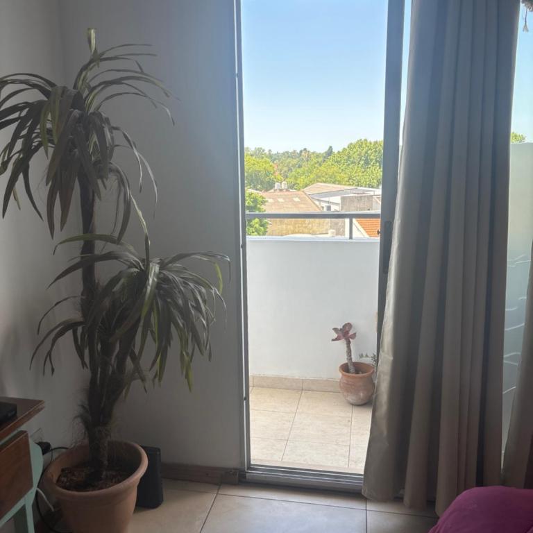 Experiencia Brown a Mtros Sanatorio Juncal - Apartamento de 1 dormitorio - 2