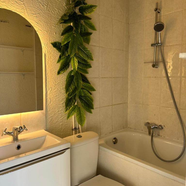 Lyon - Valmy - Gorge de loup avec Parking privée - Appartement 1 Chambre - 2