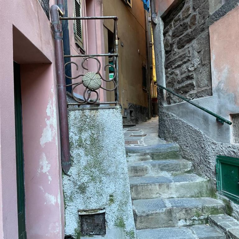 Cornabrugia Patio Apartment - Appartement 1 Chambre - 31