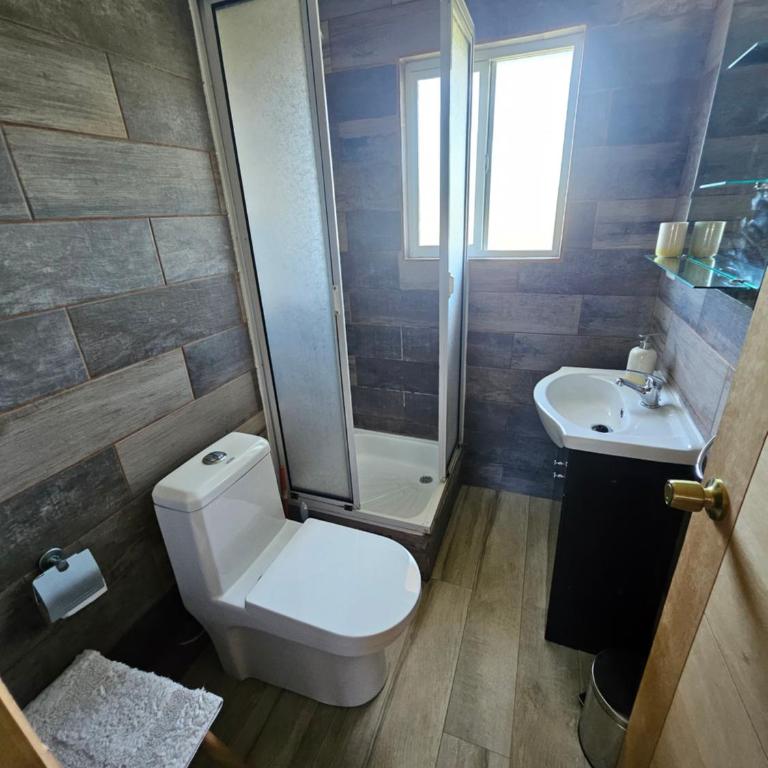 Cabaña Altos de Pelluco - Two-Bedroom House - 6