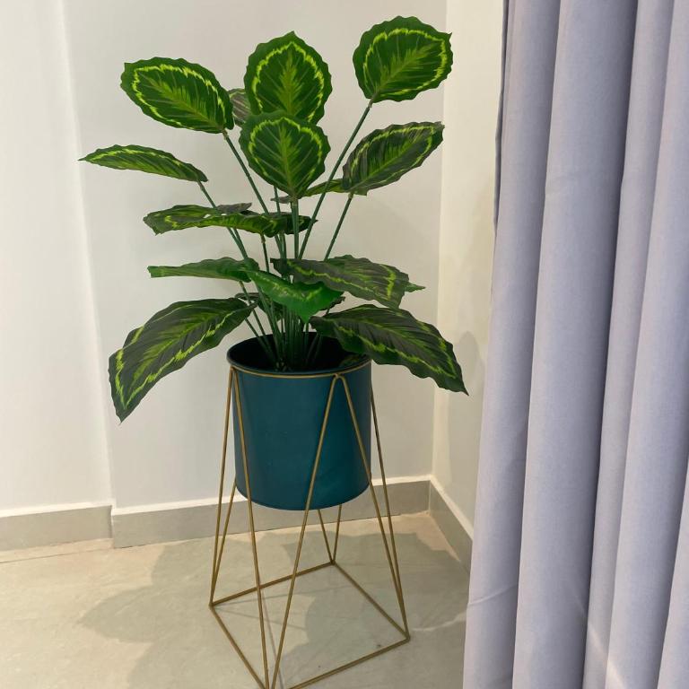 DEPARTAMENTO COMPLETO, LUJO, ESPACIO & Experiencia Total - Two-Bedroom Apartment with Balcony - 65