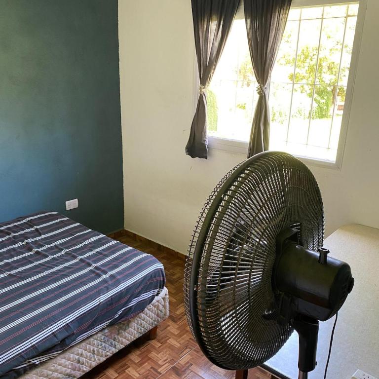 Short-Term Rental - Apartamento de 1 dormitorio - 13