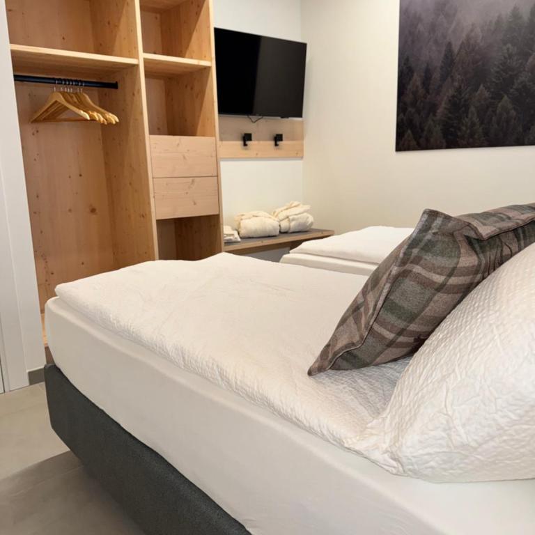 Dolomites Rent - VAL DI SOLE - Standard Apartment - 3