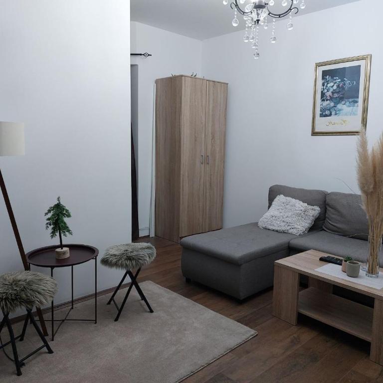 Apartman Ivana Kopaonik - One-Bedroom Apartment - 1