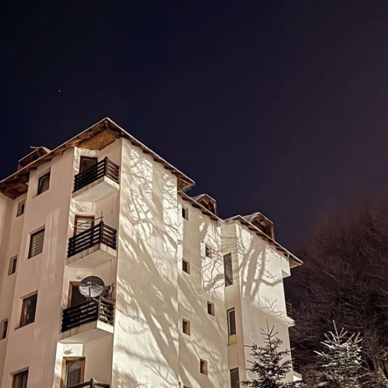 Apartman Ivana Kopaonik - One-Bedroom Apartment - 12