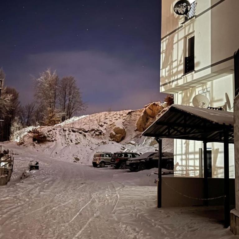 Apartman Ivana Kopaonik - One-Bedroom Apartment - 13
