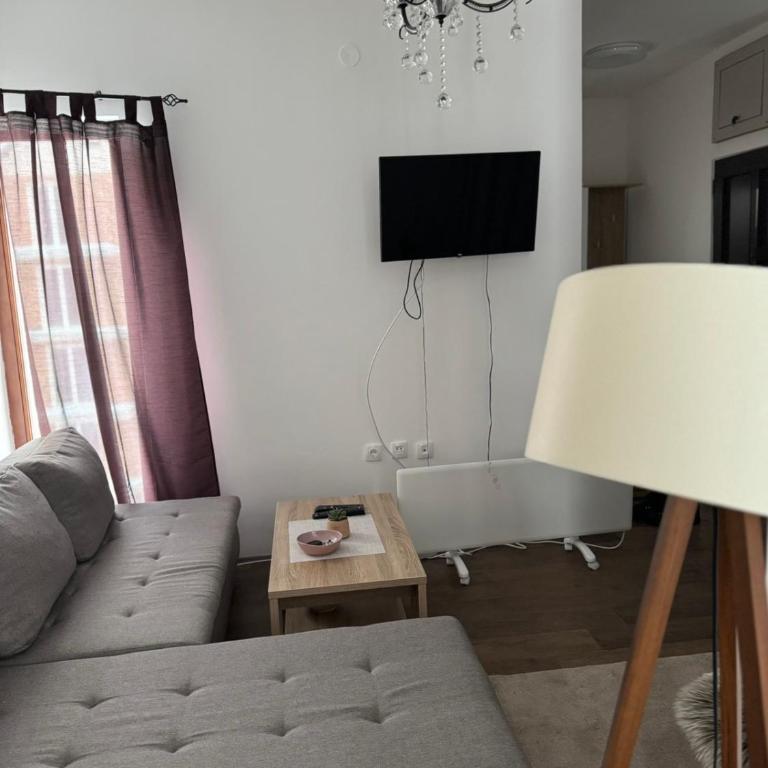 Apartman Ivana Kopaonik - One-Bedroom Apartment - 2
