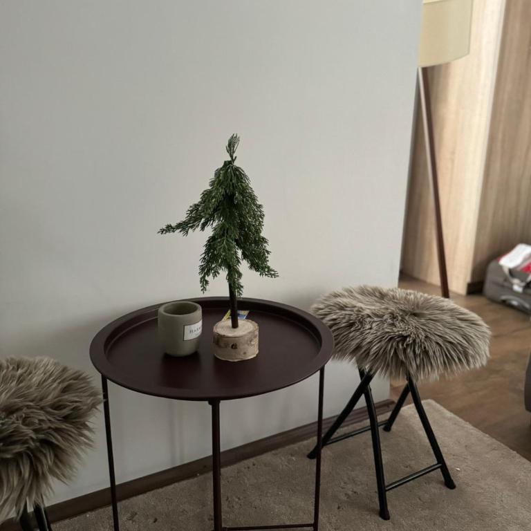 Apartman Ivana Kopaonik - One-Bedroom Apartment - 4