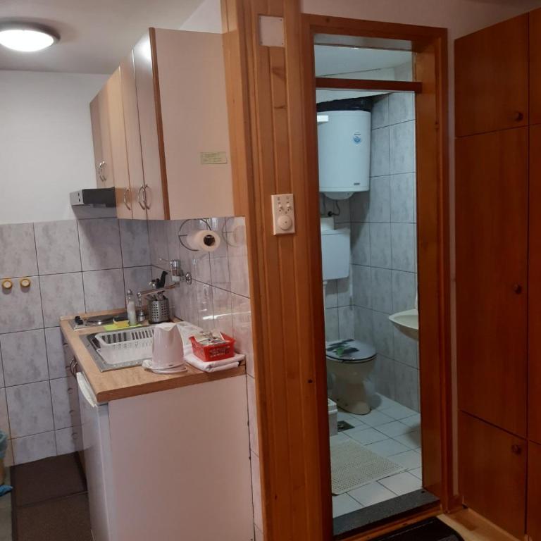 Vila Paraglajder - One-Bedroom Apartment - 5