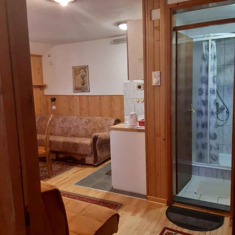 Vila Paraglajder - One-Bedroom Apartment - 6