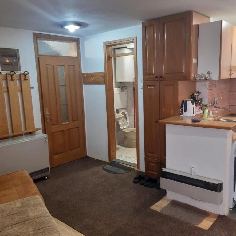 Vila Paraglajder - One-Bedroom Apartment - 1