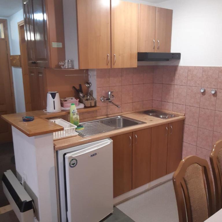 Vila Paraglajder - One-Bedroom Apartment - 4