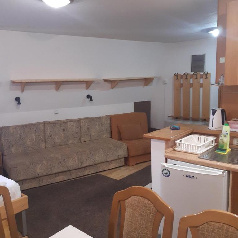 Vila Paraglajder - One-Bedroom Apartment - 8