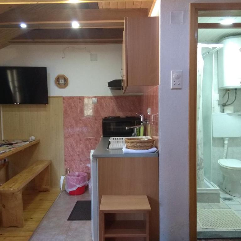 Vila Paraglajder - One-Bedroom Apartment - 10